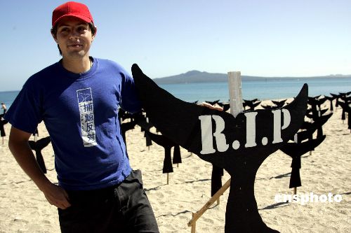 图:绿色和平组织奥克兰海滩抗议日本捕杀鲸鱼