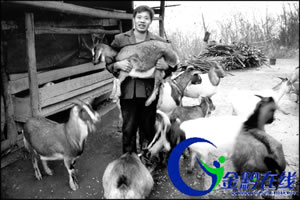 习水县温水镇 发展畜牧业富了众乡亲