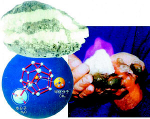 海底可燃冰中新发现多种微生物