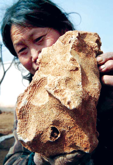 真龙现身 汝阳刘店乡沙坪村发现大型恐龙骨骼