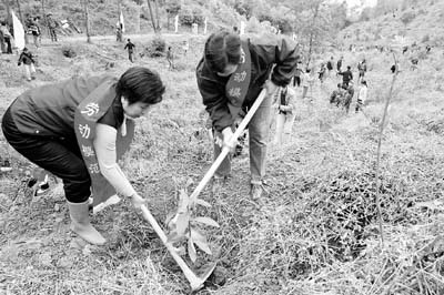 雷岭总人口_雷岭镇东老小学图片