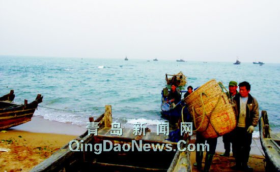 胶南街道人口_胶南隐珠街道地图