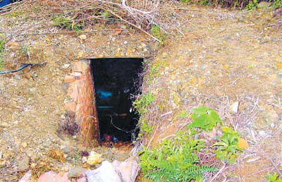 摄影报道)制假者在深山果林里挖了一个大地洞,躲在地洞里面生产假货!
