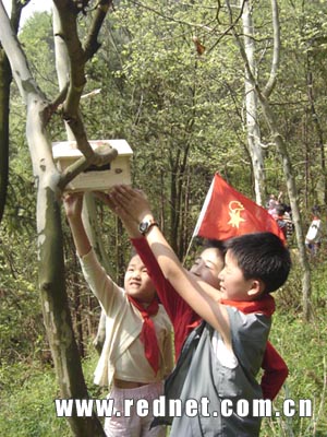 我为鸟儿安个家 少先队员爱鸟周里学知识