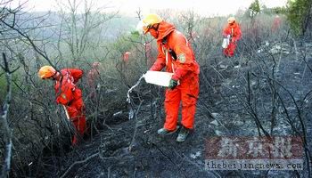 北京西山林场3处起火蔓延3000余平米(组图)
