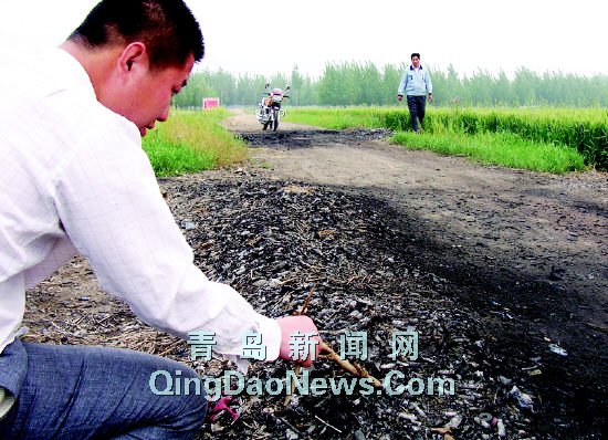 萬枚電池丟棄路邊霉爛膠州農田受污染威脅(圖)