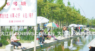 树影婆娑,悠闲垂钓,令人好不惬意.想钓什么鱼?