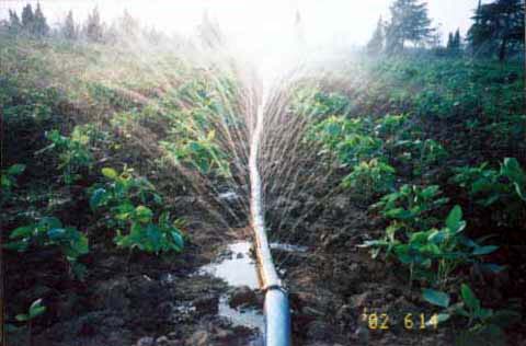 农业灌溉成水资源第一浪费大户 节水潜力巨大
