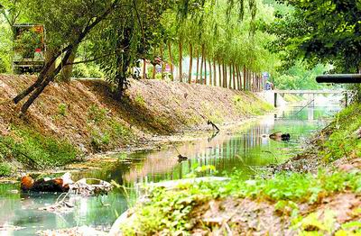 一條河溝讓森林公園“失色”？