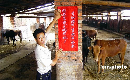 中国将实施《畜牧法》保障与规范畜牧业经营发