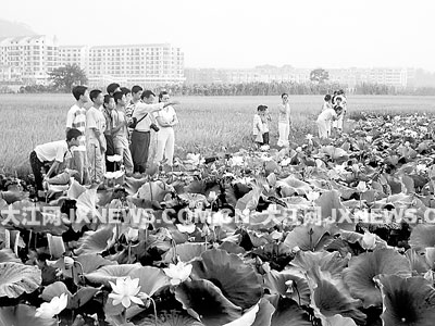 多彩盛夏_新闻中心_新浪网