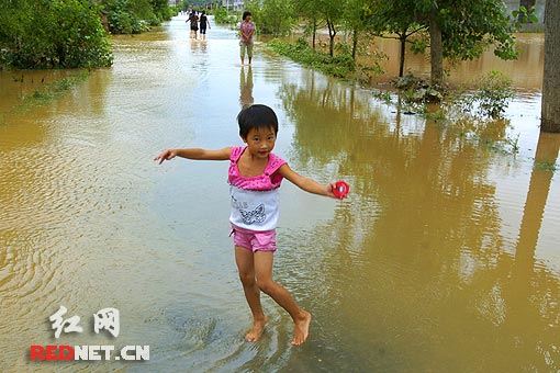 红网记者耒阳记录感动:洪水里摸出西瓜送子弟