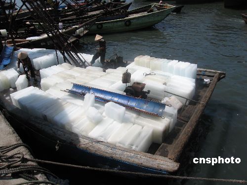 中国南海休渔期结束 北部湾海域恢复捕捞(图)