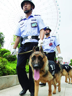 长沙首次使用警犬执行街头巡逻 防控两抢一盗
