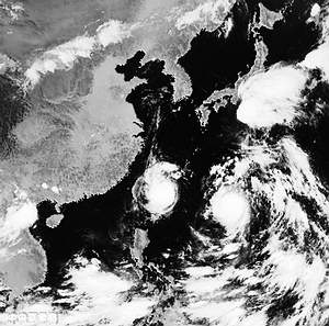 台风"黑色组合"要解散了(图)