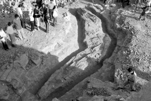 新疆挖出亚洲第一恐龙