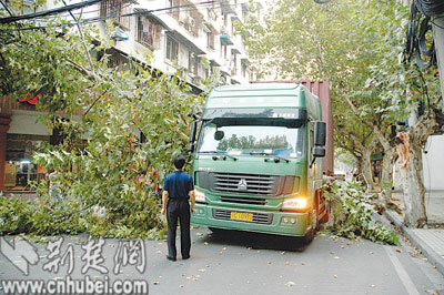 汉口洞庭路货车夹断20米树枝 道路受阻一小时