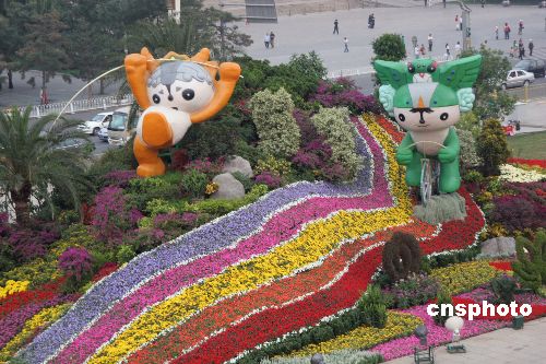 北京天安门广场摆花工程到期大部分花卉将回收