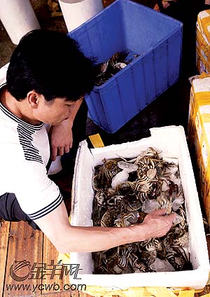 唐姓有多少人口(3)