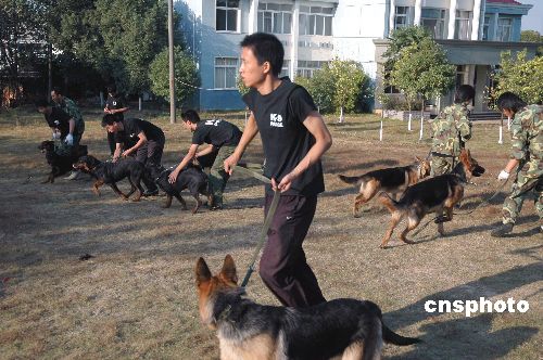 图:中国培养首批警犬技术专业本科大学生