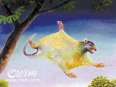 125亿年前最早飞天哺乳动物翔兽