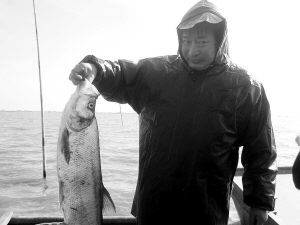 野生"白鱼"在滆湖繁育成功