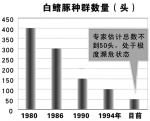 白鳍豚芳踪,为何难寻(特稿)