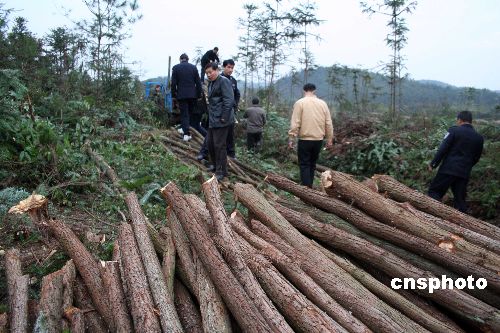 森林公安当场破获滥砍滥伐案