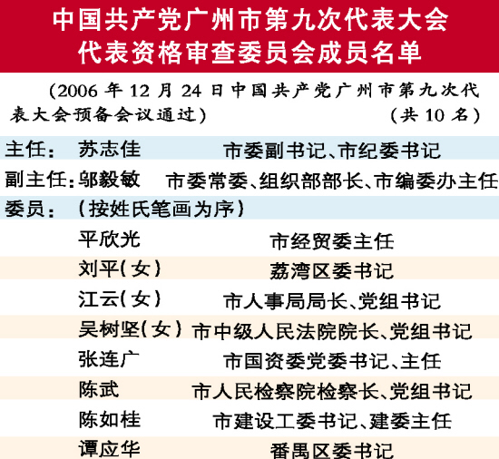 【党代表代表资格审查报告】