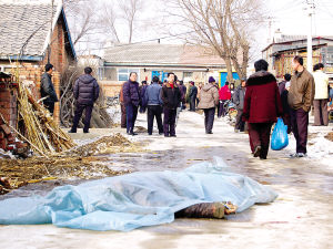 辽源市有多少人口_辽源市龙山区人民政府