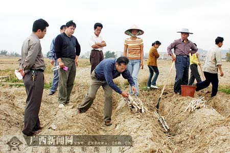 鲅鱼圈农民人口_...图为四段职工、农民工在鲅鱼圈牵引变电所进行安全质量宣(2)