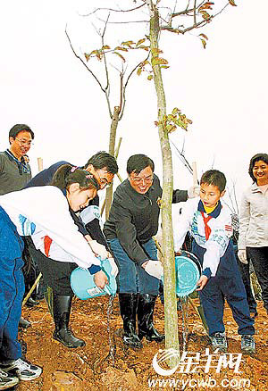 张德江连种七棵树