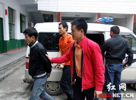 什么时候捕查人口_人口普查(2)