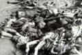 日媒体不满BBC纪录片披露日军毒杀270万中国人