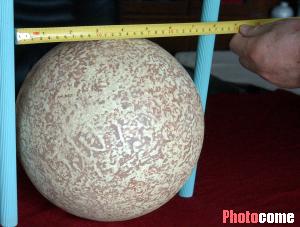 组图:南京夜明珠直径31.5厘米 究竟谁是全球最