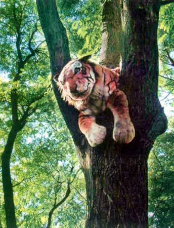 上树的"老虎"