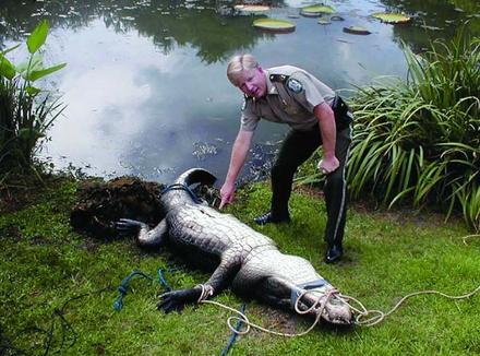 9月23日,美国佛罗里达鱼类和野生动物保护区负责人布朗在一水塘边