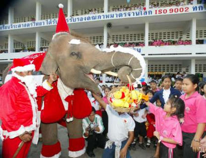 图文:泰国大象向孩子们发礼物