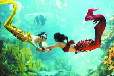 广州海洋馆将推出美人鱼和奇鱼发电箱等精