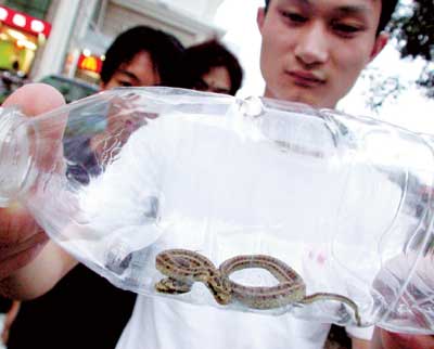 北京一居民在高碑店公园发现两头怪蛇(图)