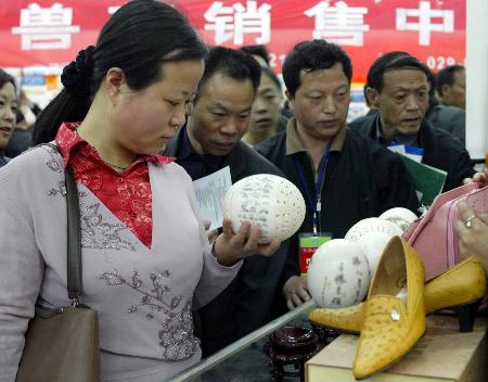 图文:2004年中国陕西畜牧业博览会在西安开幕