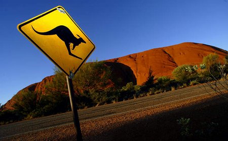 图文:澳大利亚土著地区路牌警示司机小心袋鼠