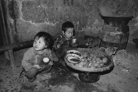 图文:洋芋是西部贫困山区贫困家庭的主要吃食