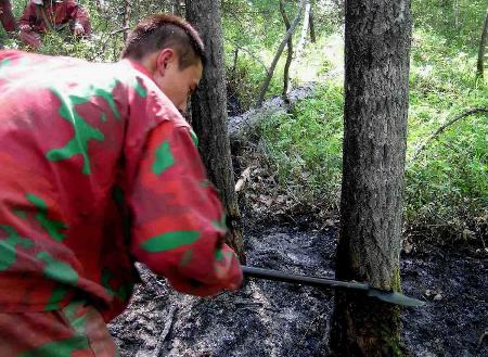 图文:内蒙古大兴安岭北部林区原始森林火灾全