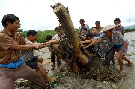 三年灾害云南死亡人口