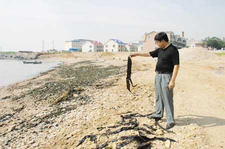 浴场老总_巴西海滩天体浴场图片