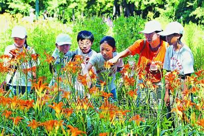 别开生面的英语v组图(组图)内窥下体内窥镜情趣用品器女用sm图片