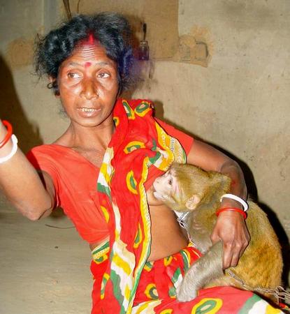 组图:印度老妇人亲身给宠物猴哺乳