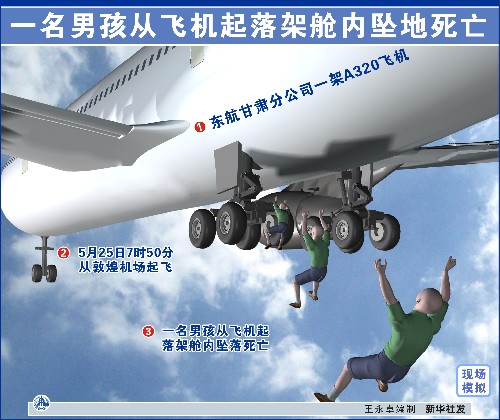 图表:一名男孩从飞机起落架舱内坠地死亡 新华社发