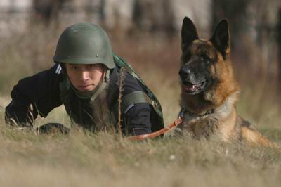 警犬队的故事:我和战友"飞鸿"